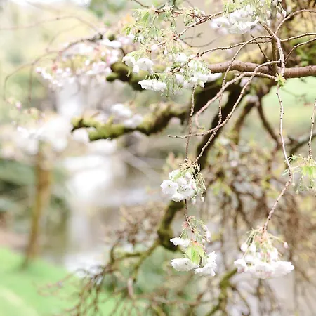 Feriehus Barmeath Castle Dun Leire