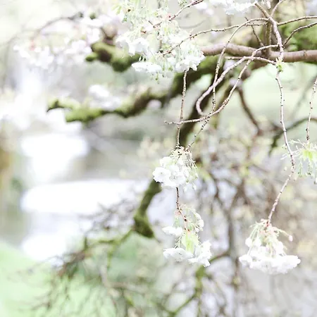 Barmeath Castle Dun Leire