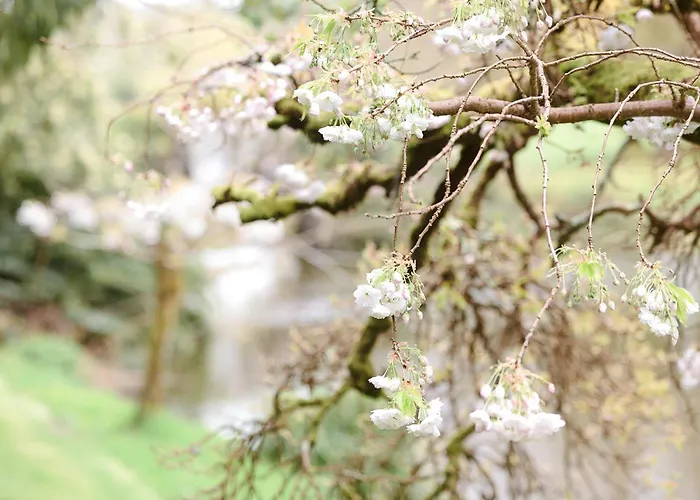 Holiday home Barmeath Castle Dun Leire