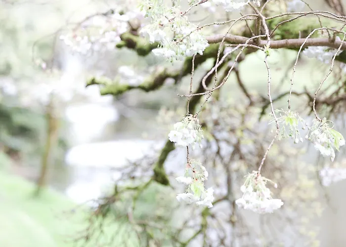 Barmeath Castle Dun Leire